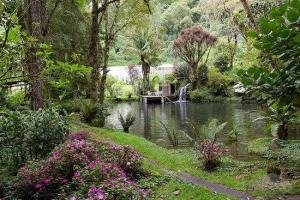 finca-draculas-beautiful-gardens-cerro-punta