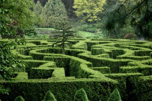 garden maze
