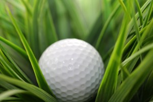 golf-ball_shutterstock_9391543