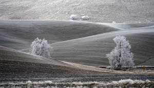 Palouse-winter_small