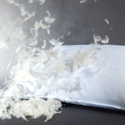 pillow-feathers