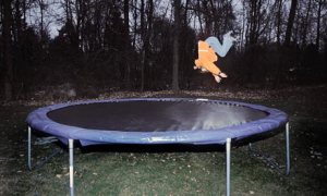child-trampoline-007